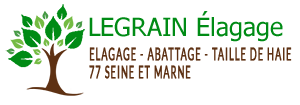 LEGRAIN Elagage